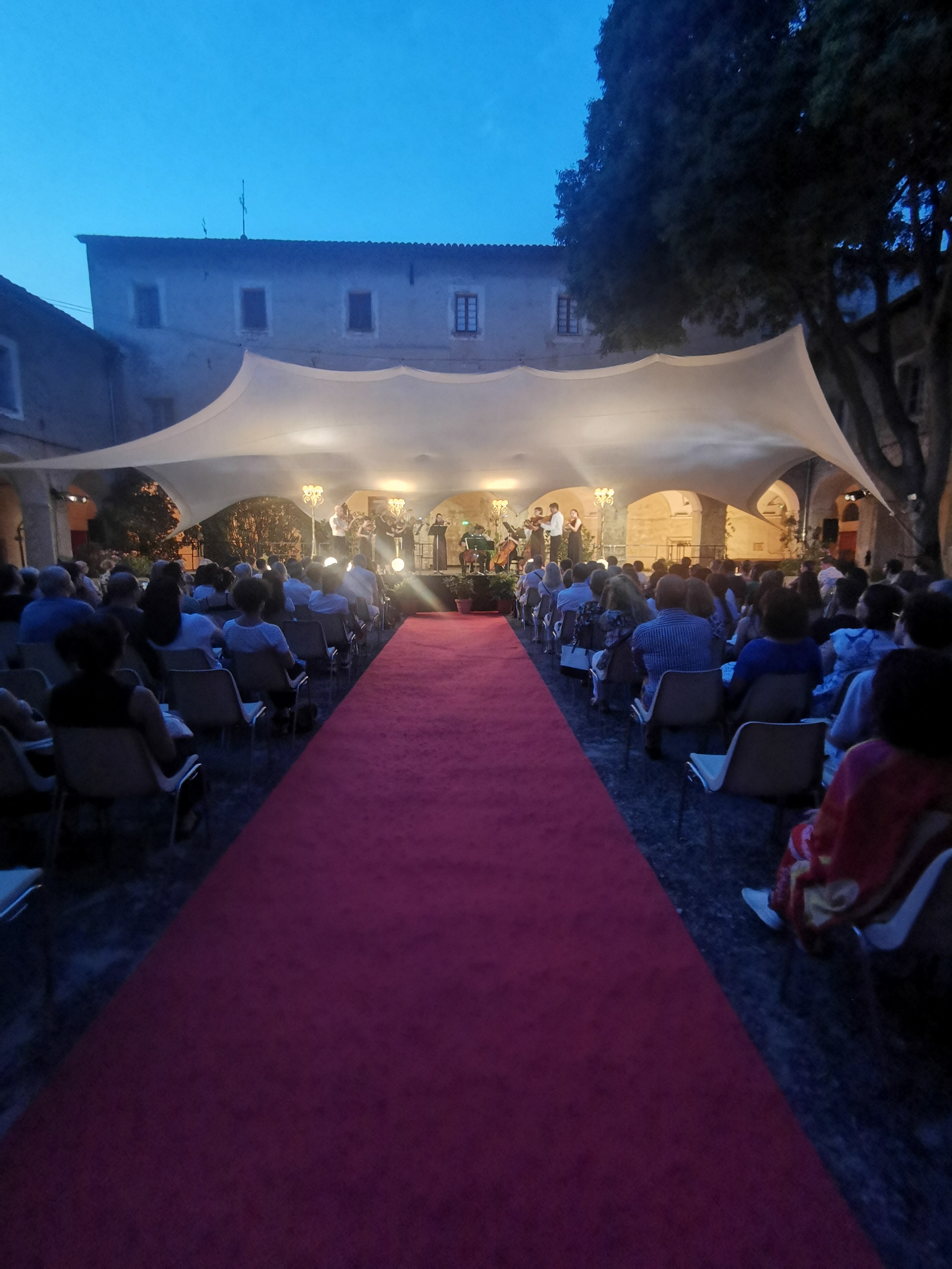 SCENE CLOITRE TAPIS VIOLET IMG_20240726_212420.jpg